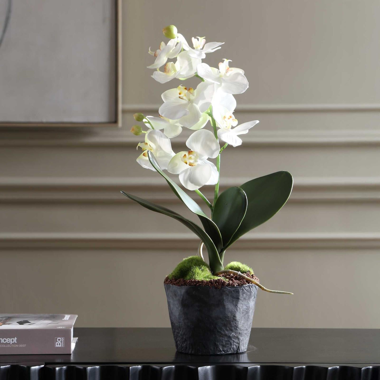 Uttermost Laris Orchid Drop-In