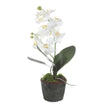 Uttermost Laris Orchid Drop-In
