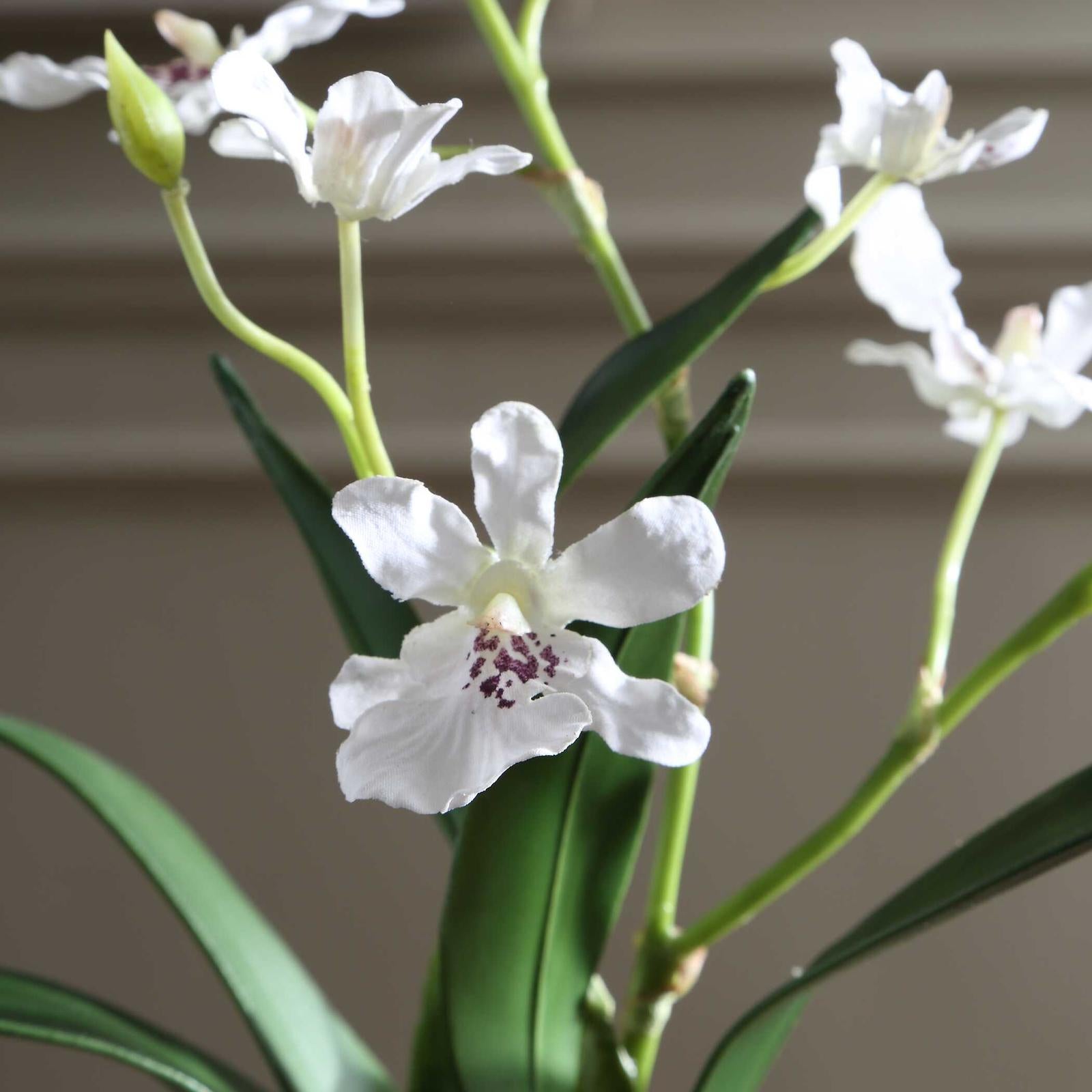 Uttermost Clovis Orchid Drop-In