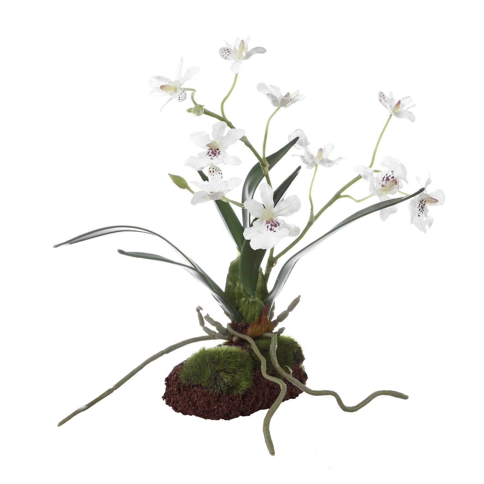 Uttermost Clovis Orchid Drop-In