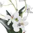Uttermost Clovis Orchid Drop-In