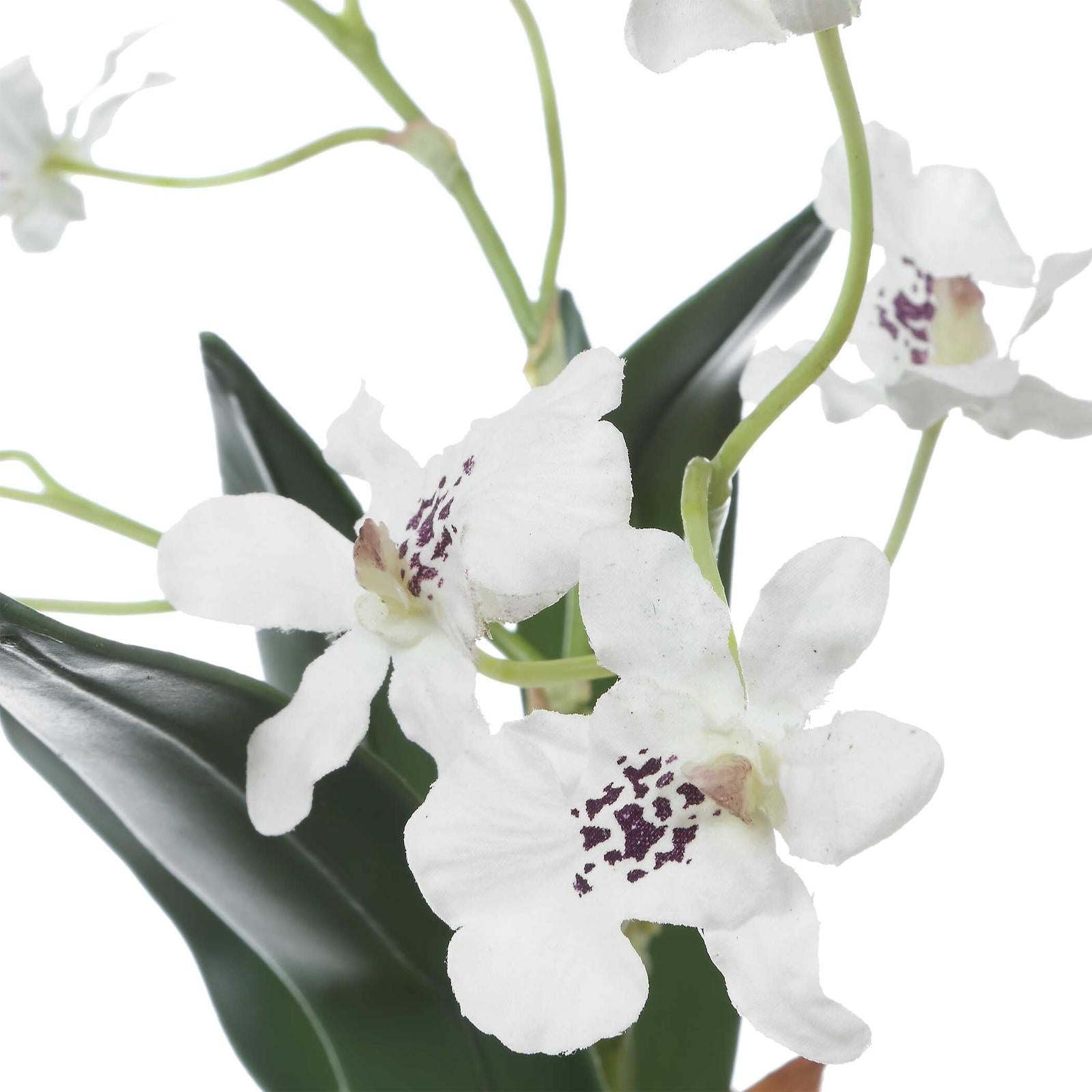 Uttermost Clovis Orchid Drop-In