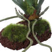 Uttermost Clovis Orchid Drop-In