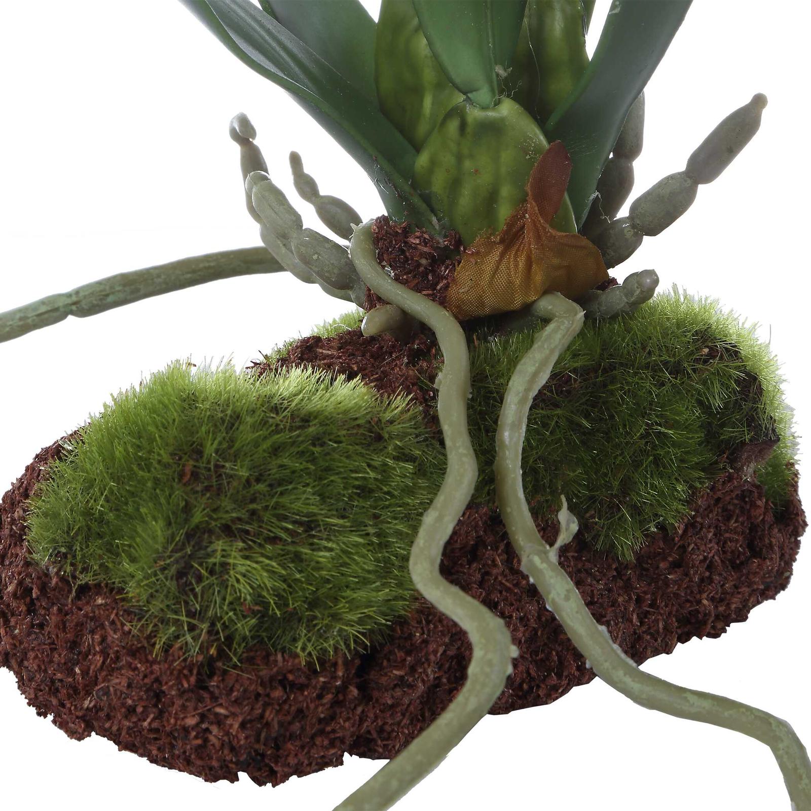 Uttermost Clovis Orchid Drop-In