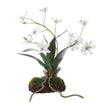 Uttermost Clovis Orchid Drop-In