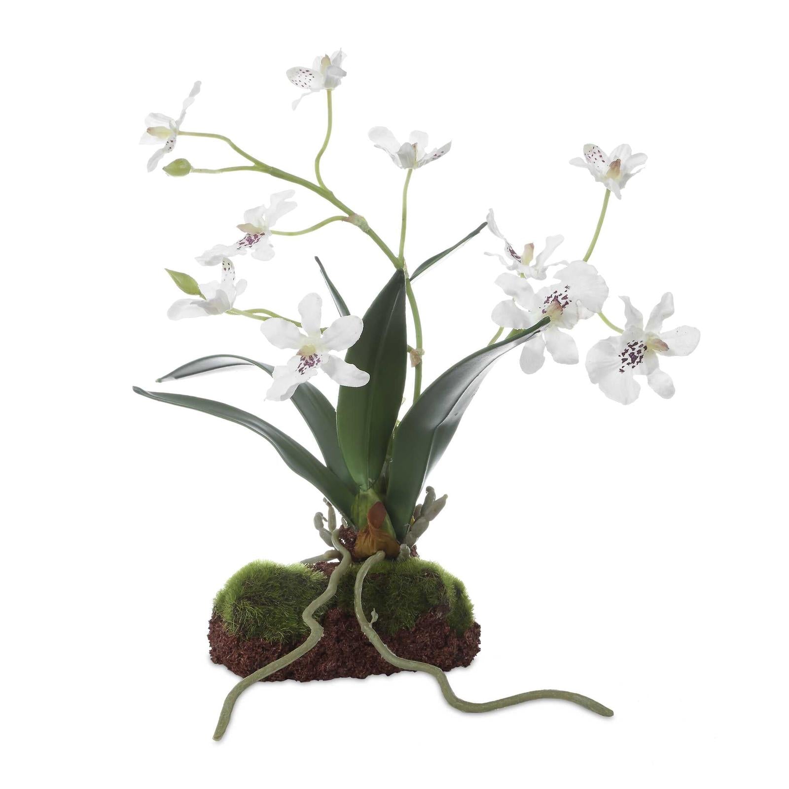 Uttermost Clovis Orchid Drop-In