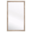 Essentials For Living Bevel Mirror
