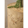 Essentials For Living Burl Accent Table