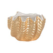 Chelsea House Venus Oyster Bowl