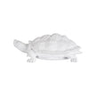 Chelsea House White Turtle