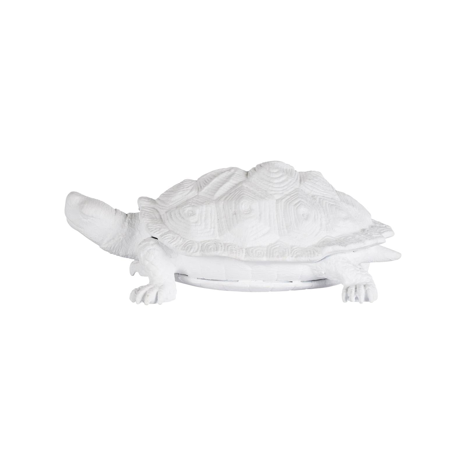 Chelsea House White Turtle
