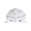 Chelsea House White Turtle