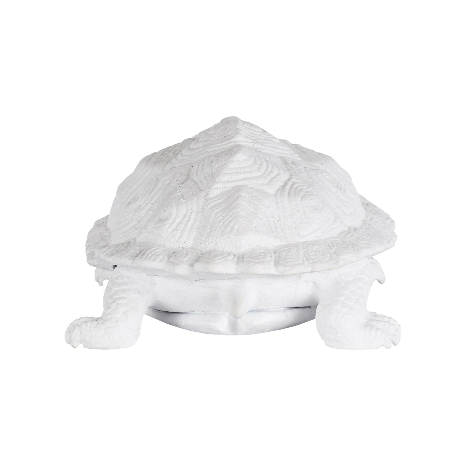 Chelsea House White Turtle