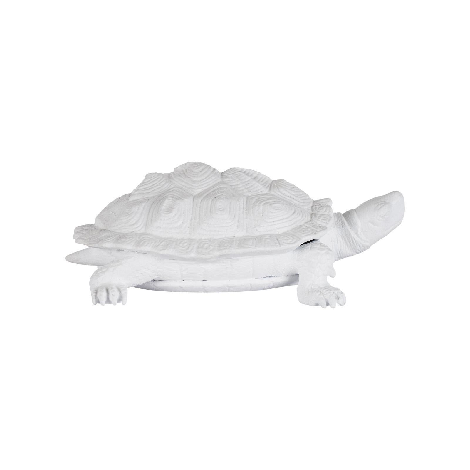 Chelsea House White Turtle