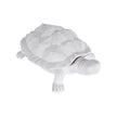 Chelsea House White Turtle