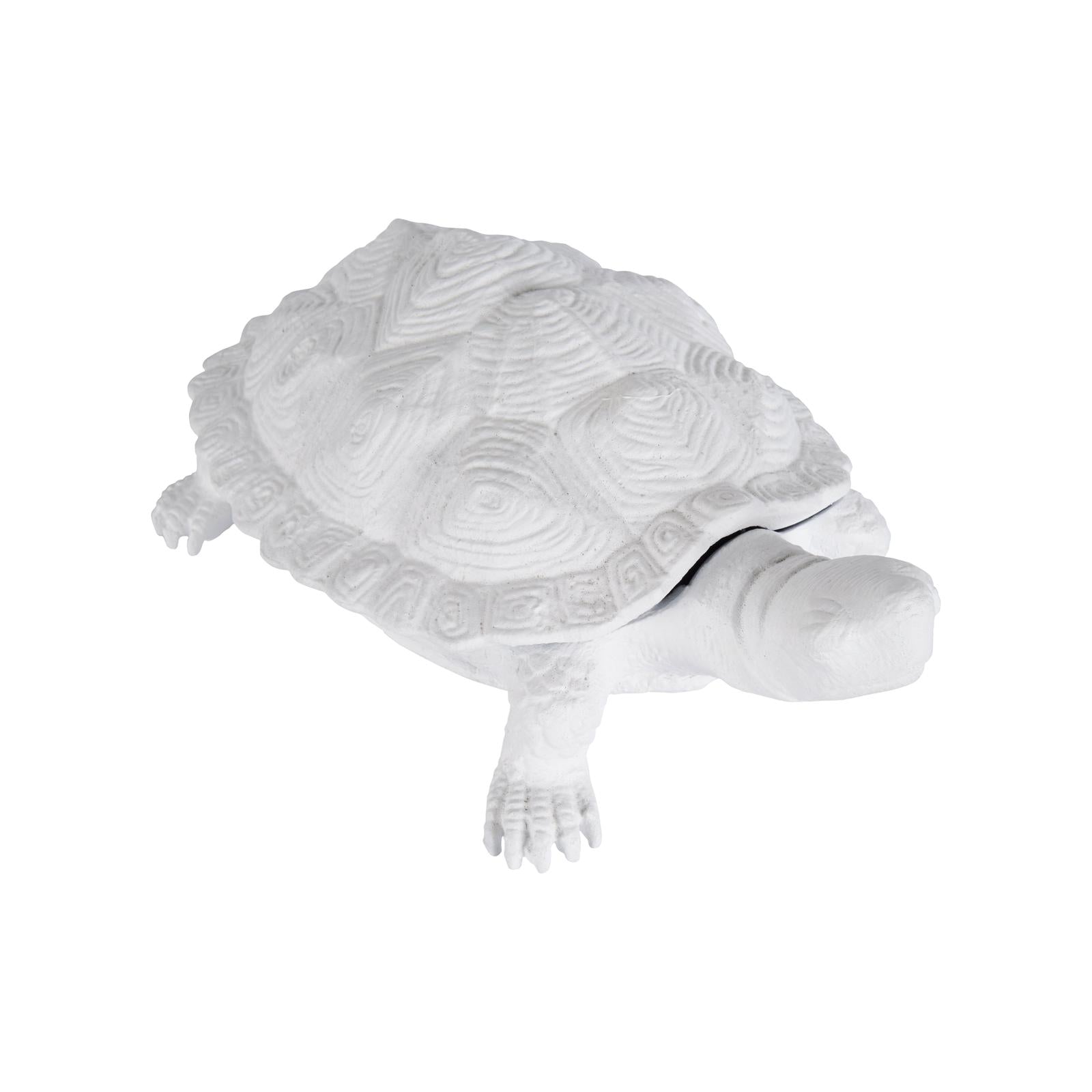 Chelsea House White Turtle