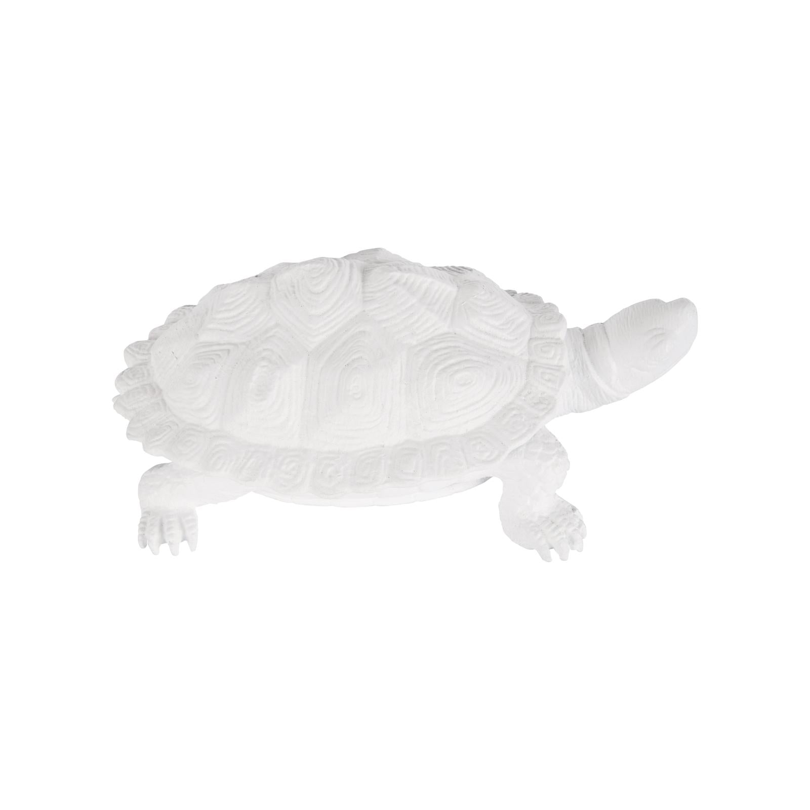 Chelsea House White Turtle