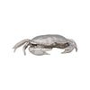 Chelsea House Sebastian Crab
