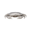 Chelsea House Sebastian Crab