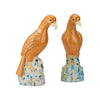 Chelsea House Birds of Prey, Set of 2