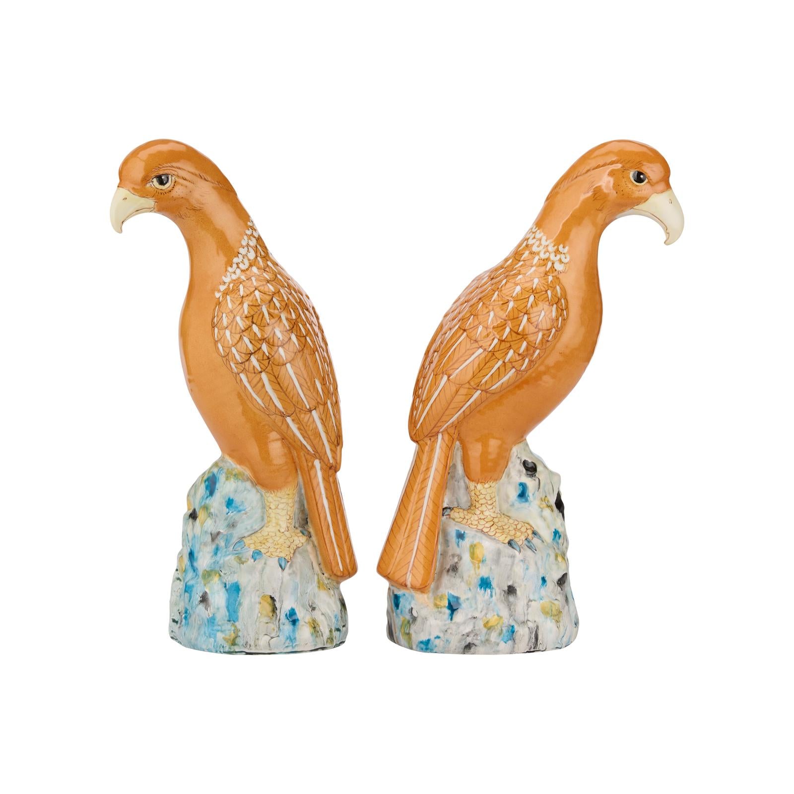 Chelsea House Birds of Prey, Set of 2