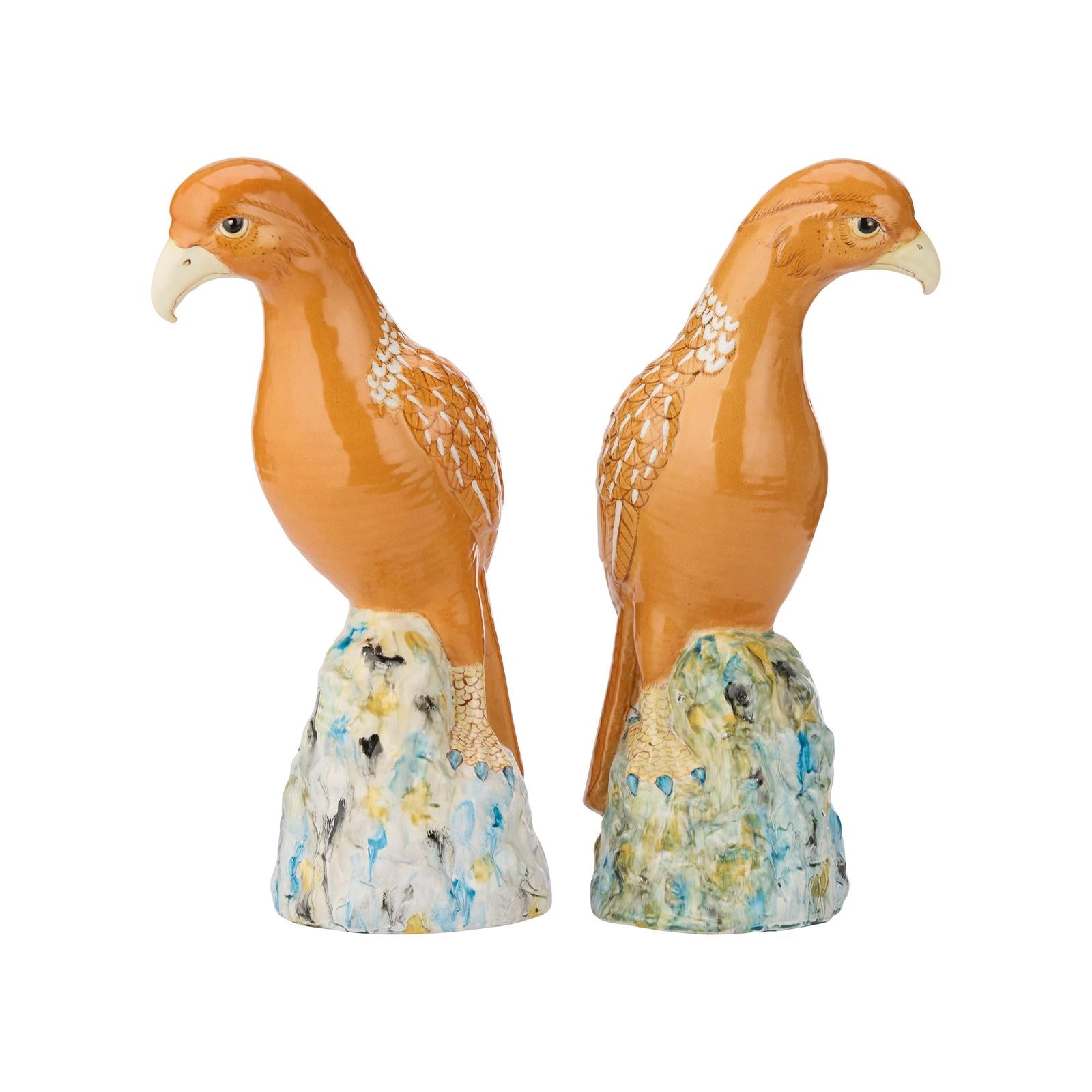 Chelsea House Birds of Prey, Set of 2