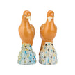 Chelsea House Birds of Prey, Set of 2