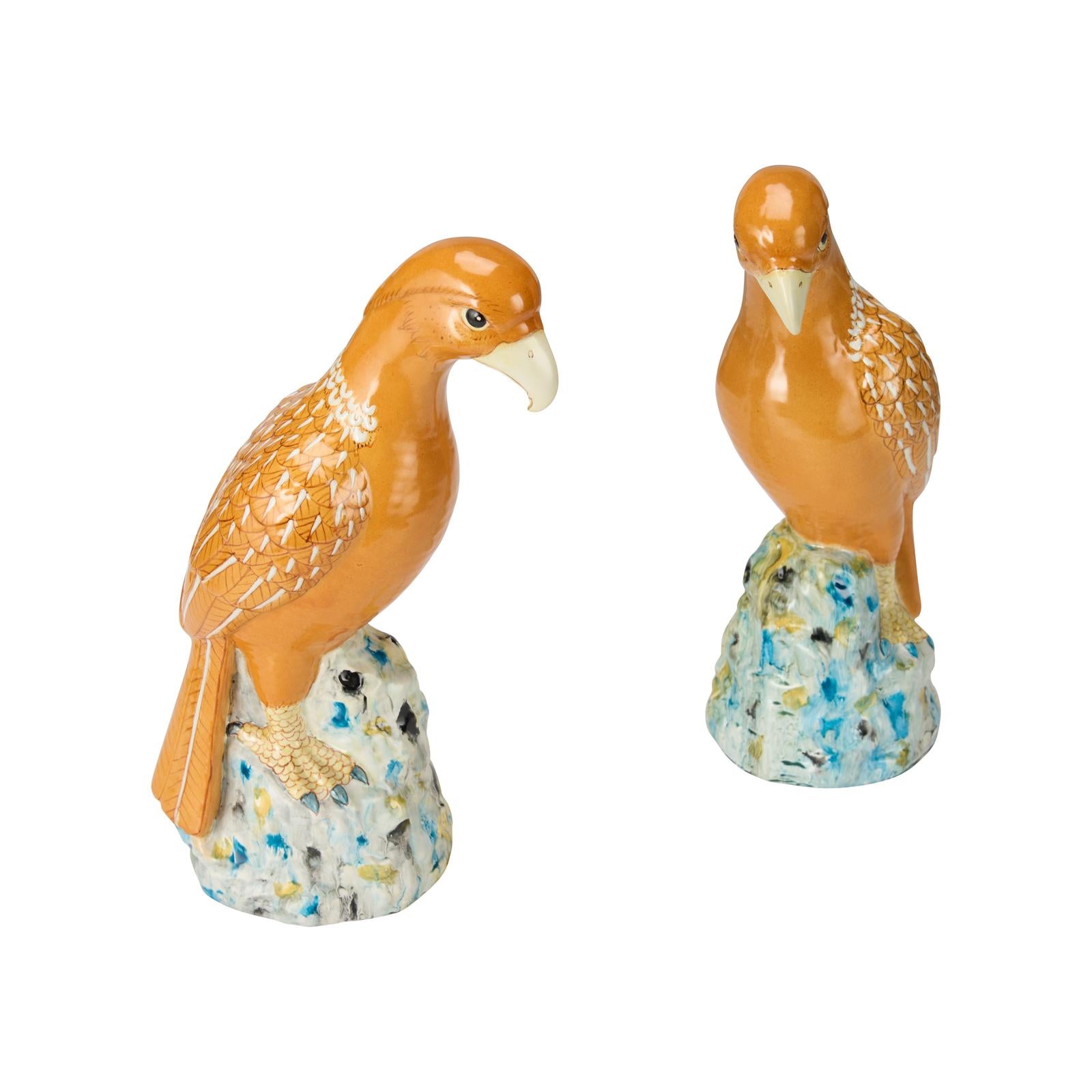 Chelsea House Birds of Prey, Set of 2