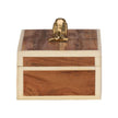 Chelsea House Snail Box