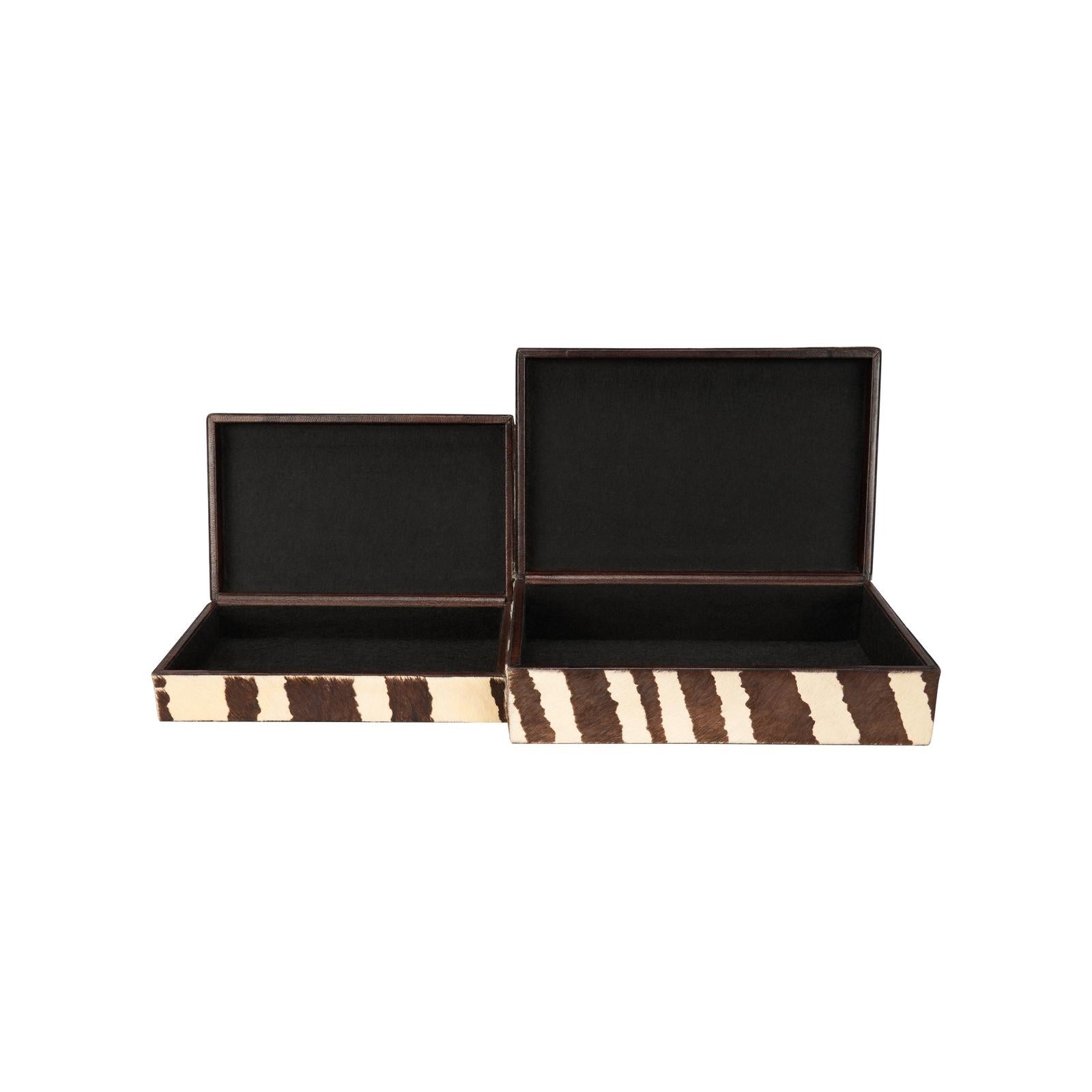 Chelsea House Zebra Boxes, Set of 2