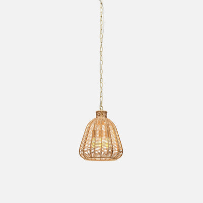 Ashley Hanging Pendant