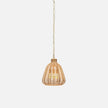 Ashley Hanging Pendant