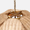 Leilani Modern Designer Pendant