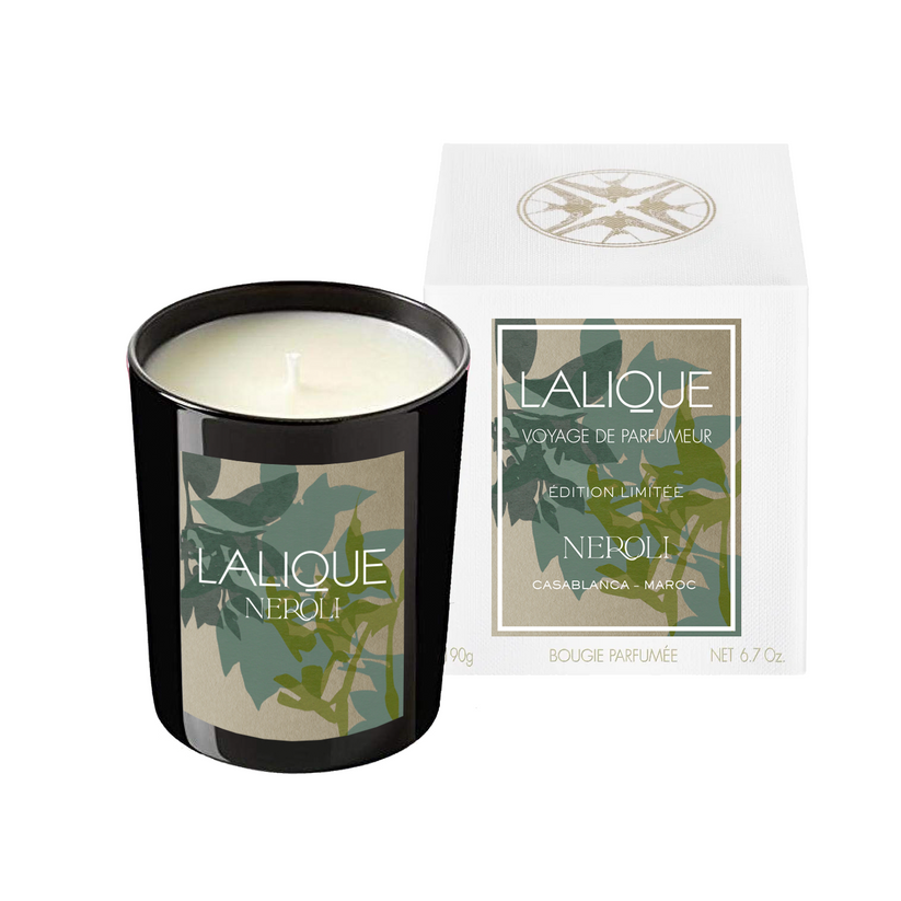 Lalique Néroli, Casablanca - Morocco, Scented Candle, 2025 Edition
