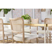 Essentials For Living Cela Dining Chair Set of 2