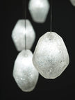 Fine Art Natural Inspirations 12