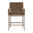 Essentials For Living Drake Counter Stool