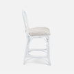 Carina Counter Stool