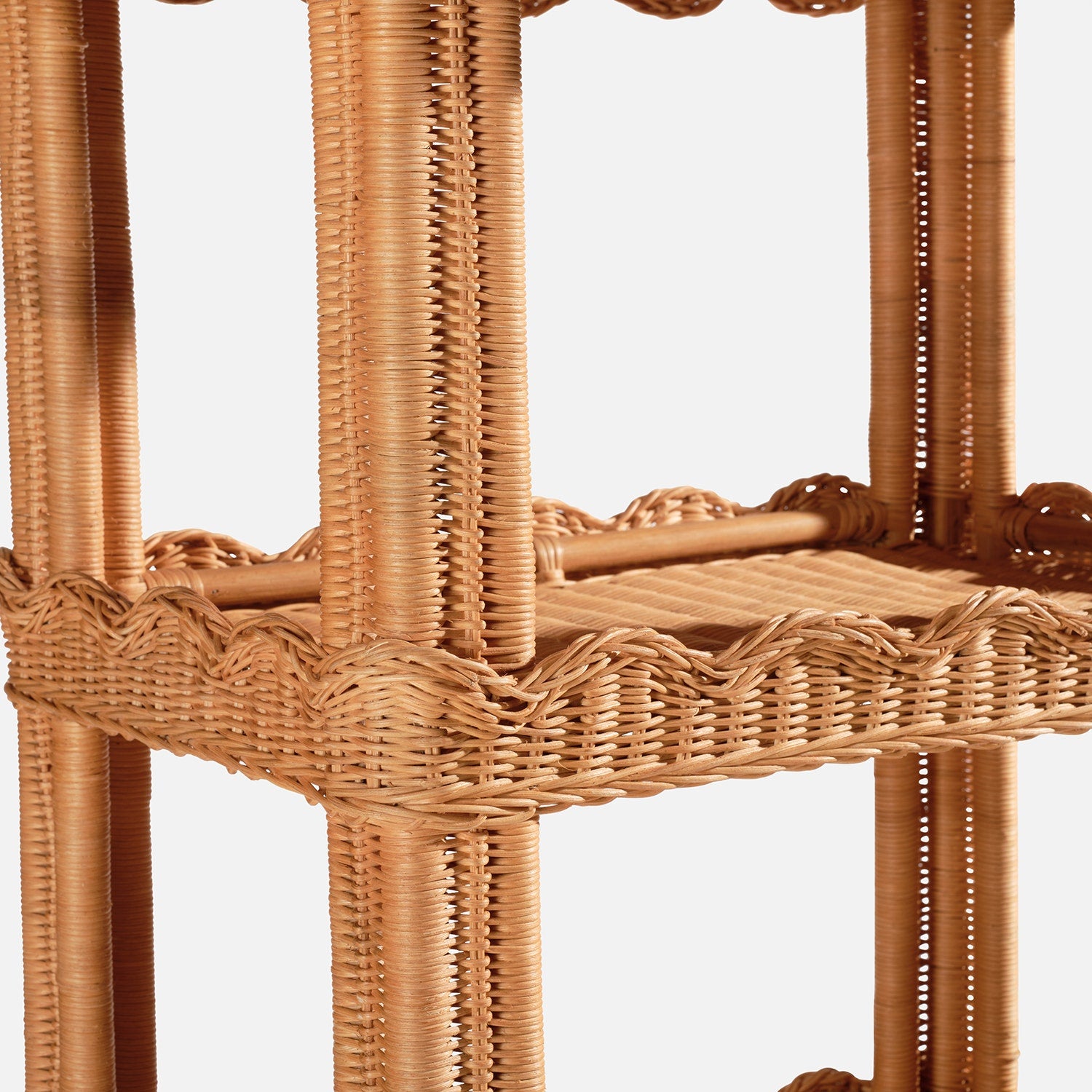 Georgina Rattan Bookcase