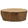 Uttermost Woods Edge Coffee Table