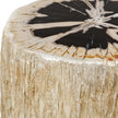 Uttermost Arco Petrified Wood Top Accent Table
