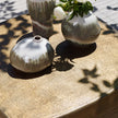 Uttermost Saguaro Indoor-Outdoor Coffee Table