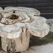 Uttermost Anzalone Solid Wood Coffee Table