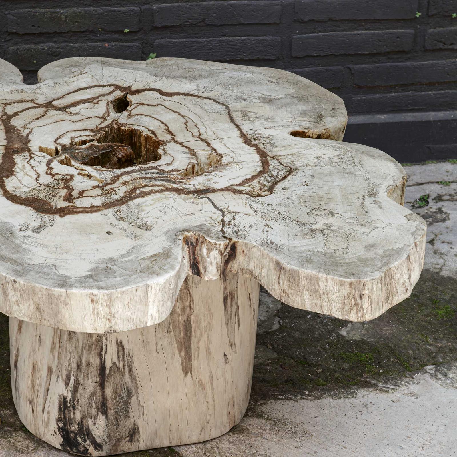 Uttermost Anzalone Solid Wood Coffee Table