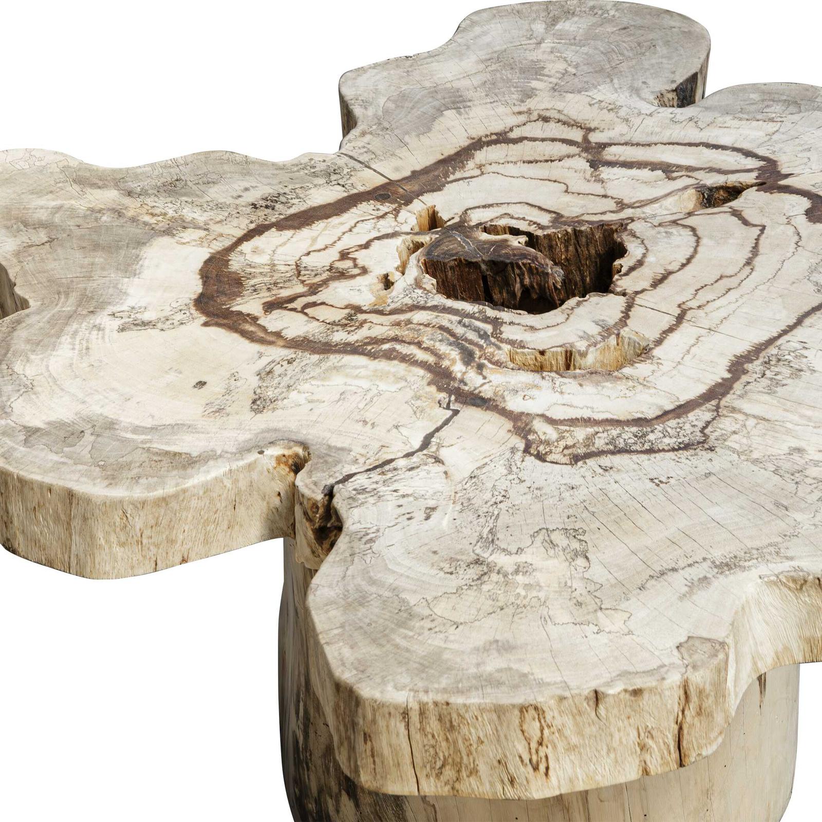 Uttermost Anzalone Solid Wood Coffee Table