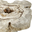 Uttermost Anzalone Solid Wood Coffee Table