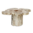 Uttermost Anzalone Solid Wood Coffee Table