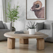 Uttermost Tiernan Reclaimed Oak Round Coffee Table
