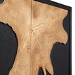 Uttermost Andrei Teak Root 2 Door Cabinet