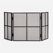 Rayne Fireplace Screen